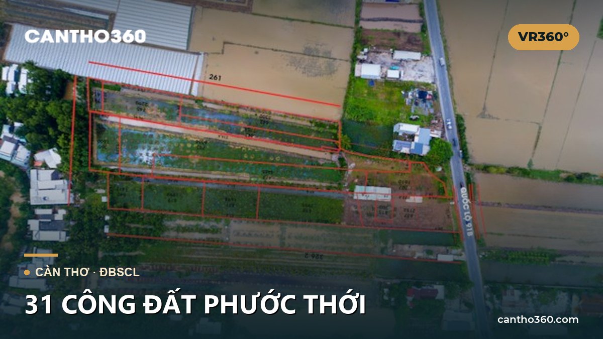 31 CÔNG ĐẤT PHƯỚC THỚI