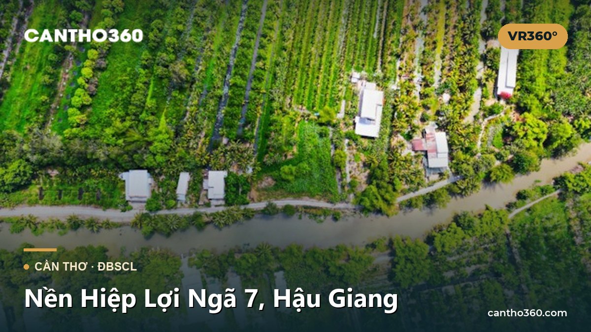 Nền Hiệp Lợi Ngã 7, Hậu Giang