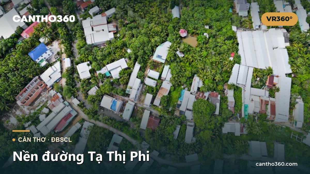 Nền đường Tạ Thị Phi